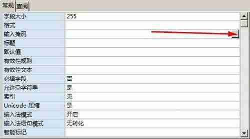 access单元格如何设置输入掩码格式