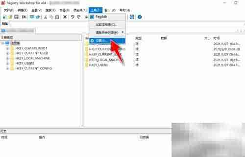 Registry Workshop备份路径设置