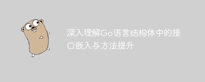 深入理解Go语言结构体中的接口嵌入与方法提升