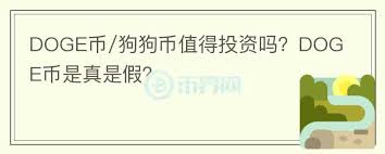 狗狗币前景分析与投资价值解读
