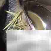 清蒸梭边鱼的家常做法