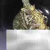 清蒸梭边鱼的家常做法