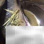 清蒸梭边鱼的家常做法分享