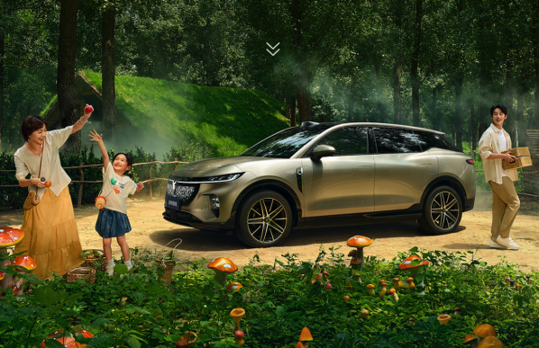 岚图蔚来联手优化高速充电方案