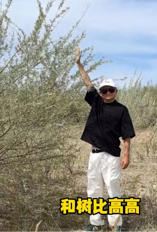 马云参观蚂蚁森林 树已经长得比他高了 他边吃西瓜边和种树人唠嗑