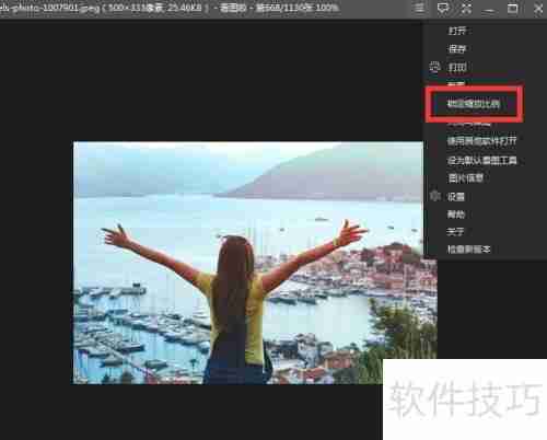看图软件如何锁定缩放比例