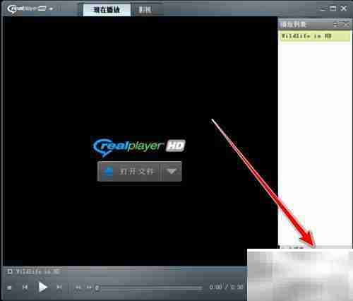 RealPlayer播放列表保存方法