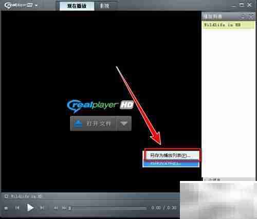 RealPlayer播放列表保存方法