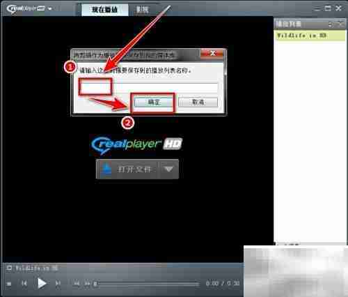 RealPlayer播放列表保存方法