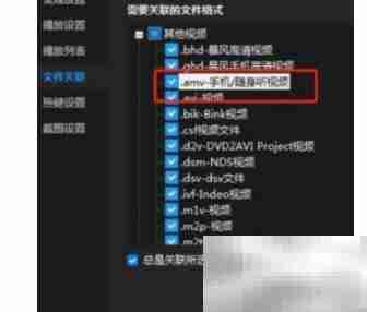 暴风影音关联AMV文件方法