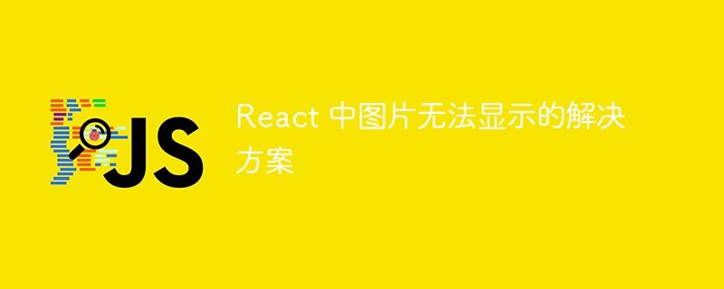 React 中图片无法显示的解决方案