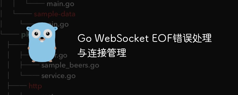 Go WebSocket EOF错误处理与连接管理