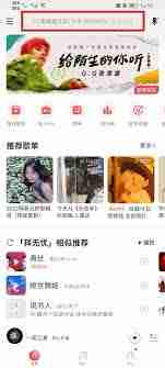 网易云音乐如何查看一首歌的播放次数