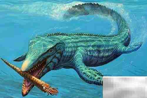 玩转VR时光机全攻略