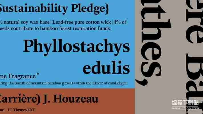  官方正版资源一键获取