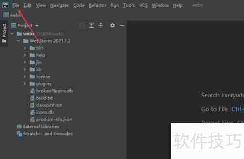 WebStorm脚本语言设置指南