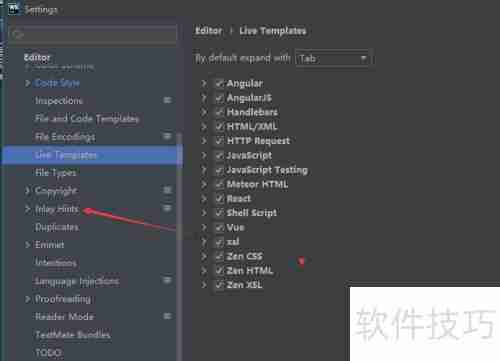 WebStorm脚本语言设置指南