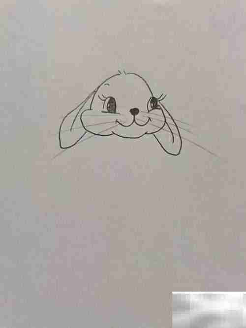 矢量图兔子绘制教程