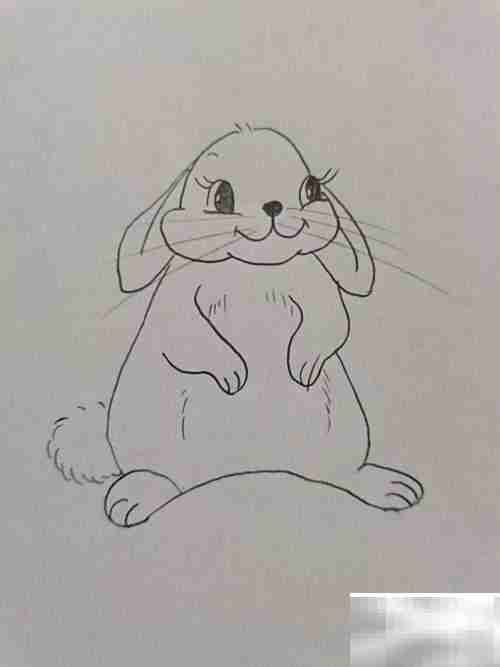 矢量图兔子绘制教程