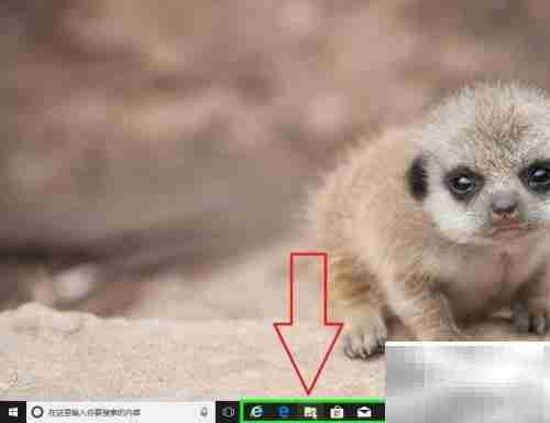 USB网卡驱动安装指南