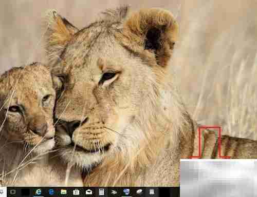 USB网卡驱动安装指南