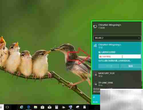 USB网卡驱动安装指南