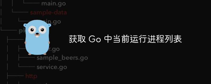 Go获取当前进程列表方法全解析