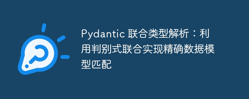 Pydantic联合类型解析：判别式联合建模技巧