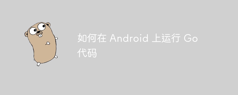 如何在 Android 上运行 Go 代码