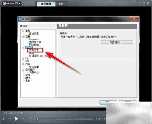 RealPlayer添加监控文件夹方法