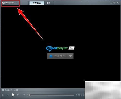 RealPlayer添加监控文件夹方法详解