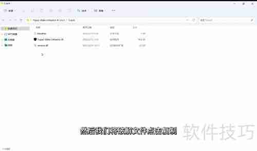 Topaz视频增强AI安装指南