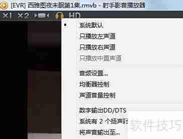 射手播放器加载字幕方法
