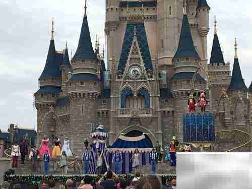 畅游魔法王国全攻略