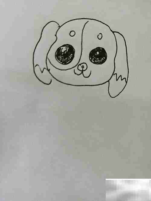 大眼睛小狗绘画教程