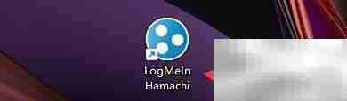 LogMeIn Hamachi流量过滤设置