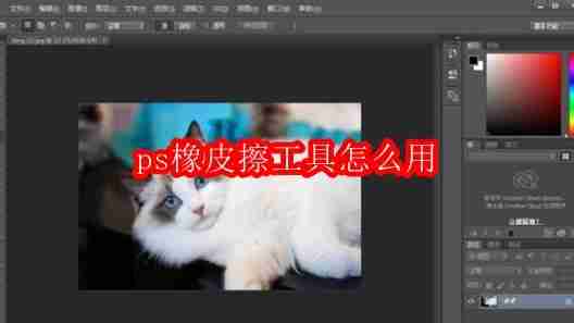 ps橡皮擦工具怎么用