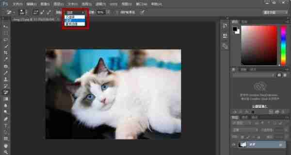 ps橡皮擦工具怎么用