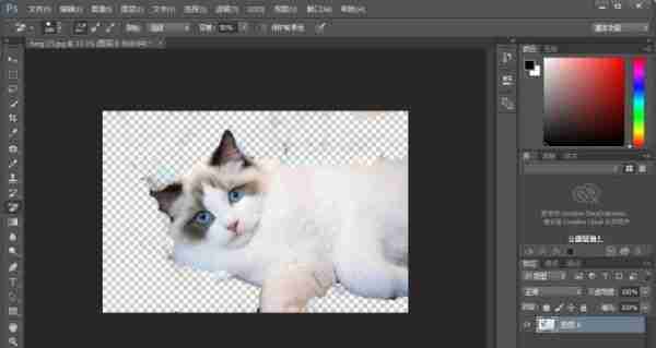 ps橡皮擦工具怎么用