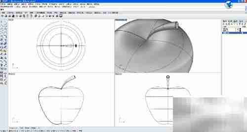 Rhino 5.0苹果建模入门