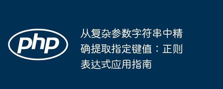 从复杂参数字符串中精确提取指定键值：正则表达式应用指南
