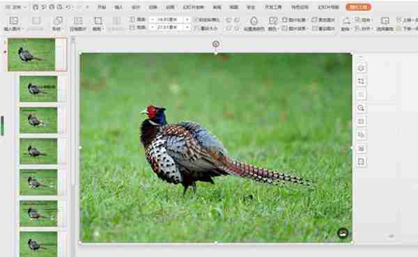 PPT如何修改母版背景图片
