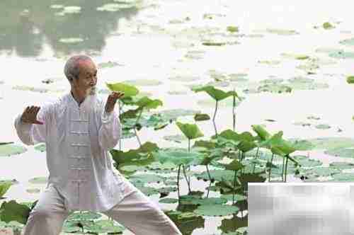 站桩入门：姿势与要领