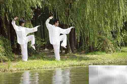 站桩入门：姿势与要领