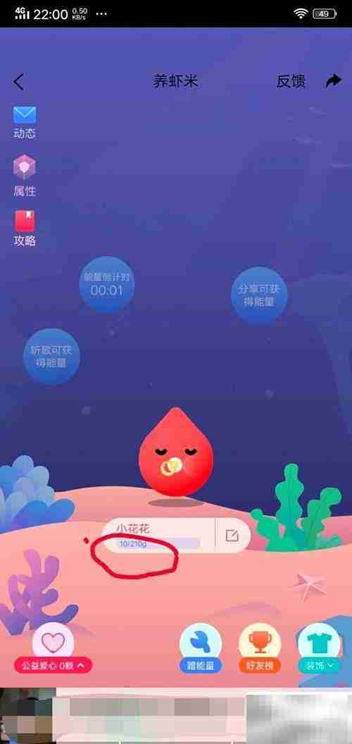 虾米音乐领养虾米指南