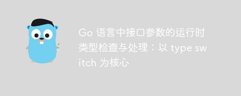 Go 语言中接口参数的运行时类型检查与处理:以 type switch 为核心