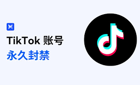 TikTok账号被封号怎么办