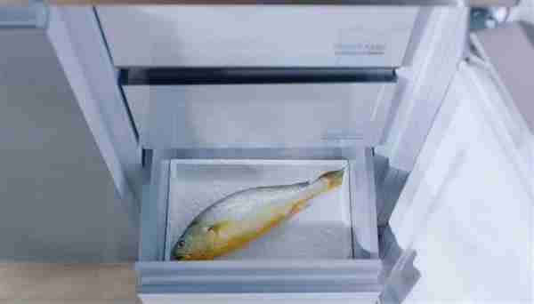 海尔冰箱H1逆周期增长至46.4%  吃掉了谁的份额