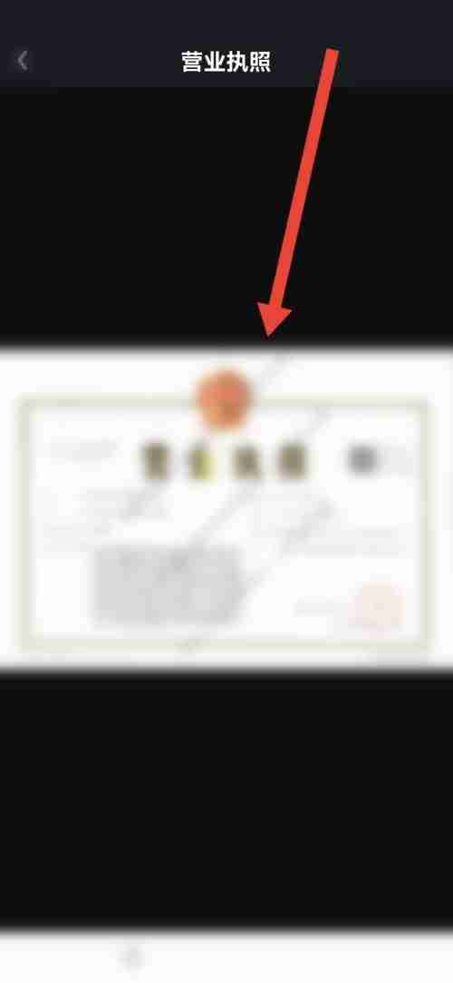 爱奇艺极速版怎么查看营业执照?爱奇艺极速版查看营业执照教程