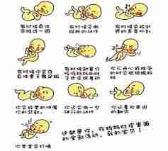 妈妈网孕育如何数胎动